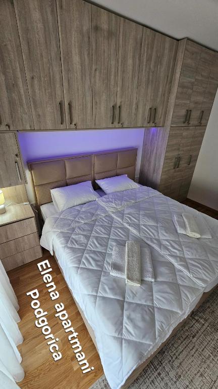 Elena apartmani Podgorica - 4