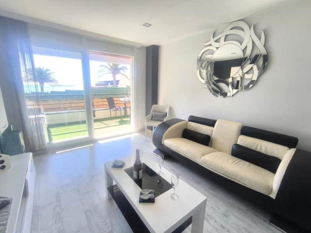 Palmera E - 3