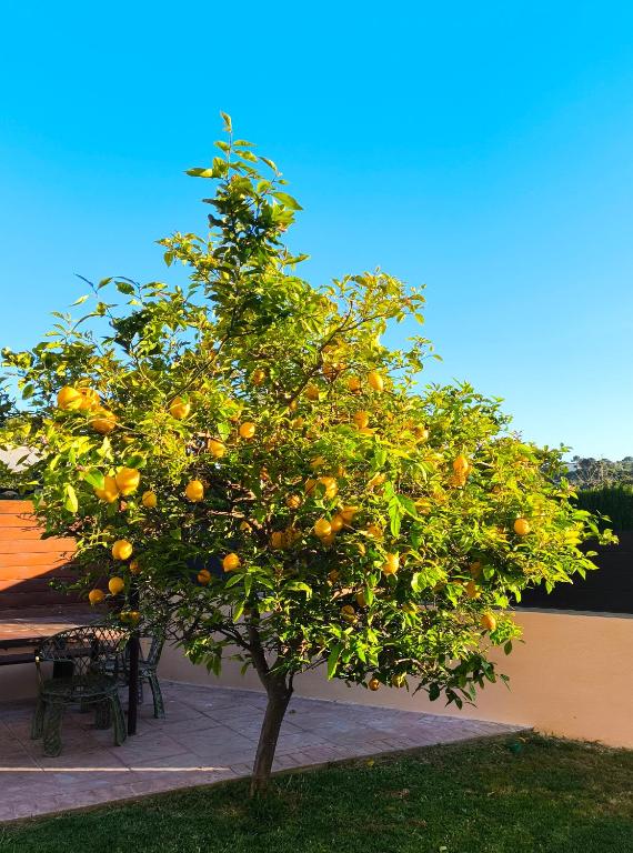 Adosado con jardín en los Xalets de Salou - 5