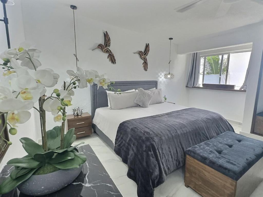 Lit King, Netflix & Piscine, Propre & Neuf, Cozumel