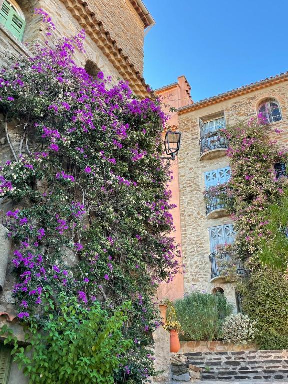 Bormes les Mimosas au coeur du village historique - 2