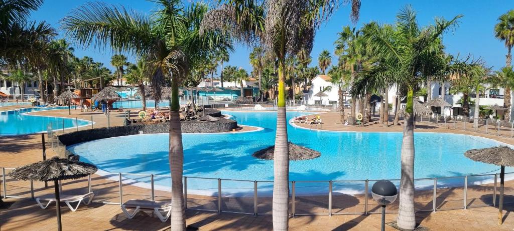 Central Corralejo with Terrace & Palm Trees 25mb wifi - 3