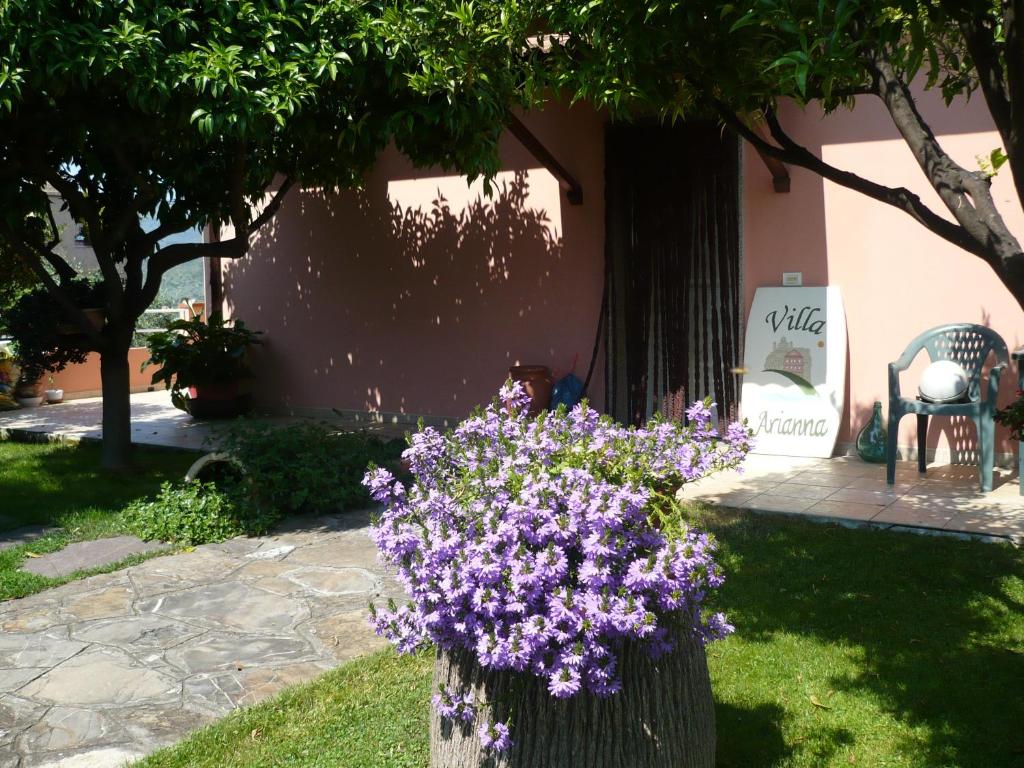 Azienda Agrituristica Villa Arianna - 3