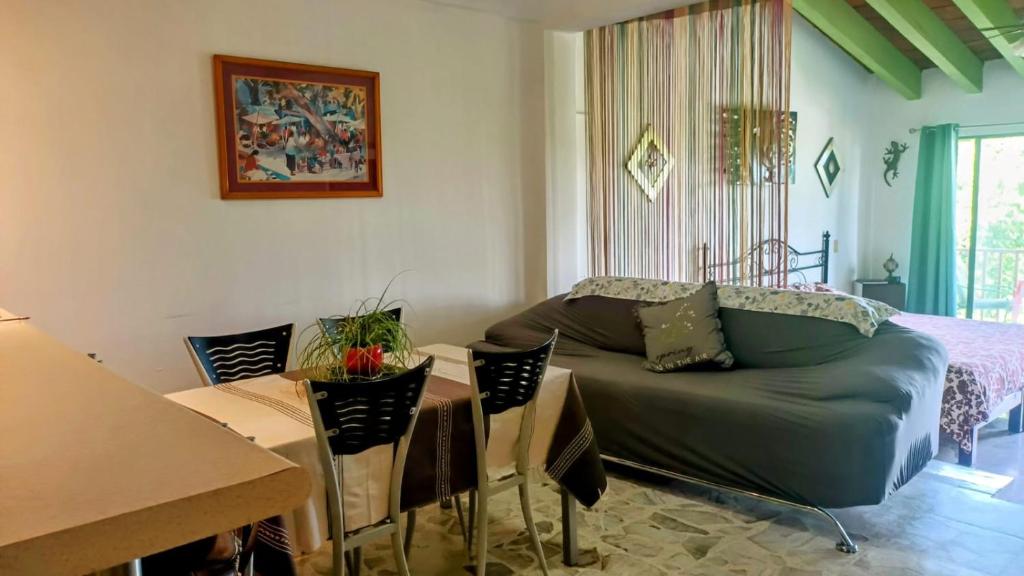 Beautiful studio Marina Vallarta - 2