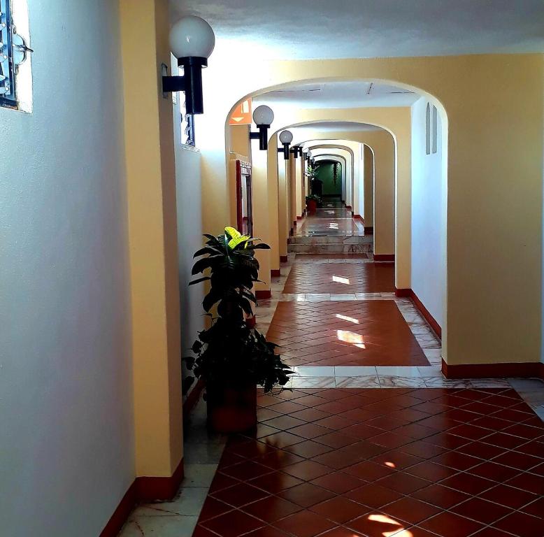 Beautiful studio Marina Vallarta - 3