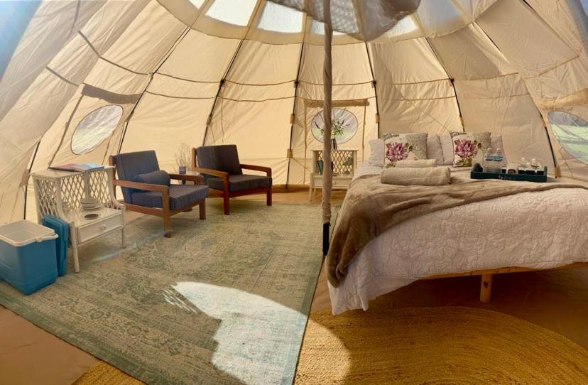 Mountain View Tilba Tilba - Glamping, Tilba Tilba