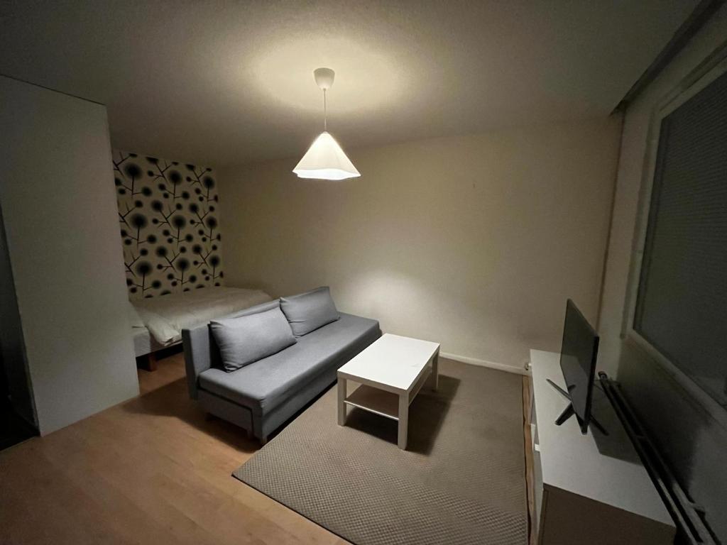 Siisti ja viihtyisä yksiö, Kuopio