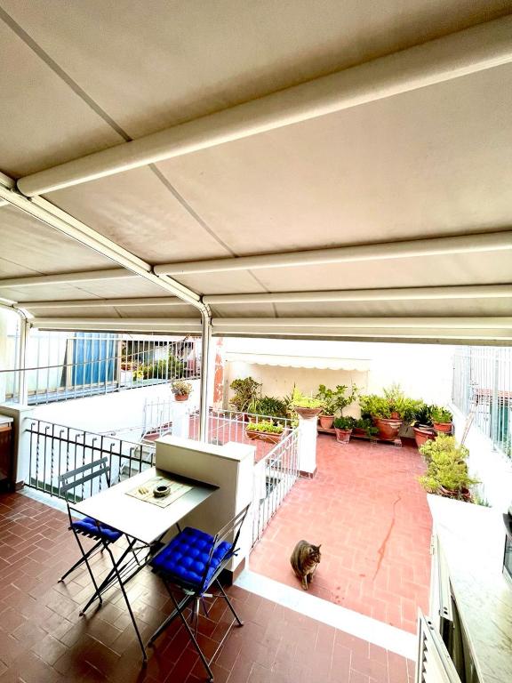 Casa Ave - 3