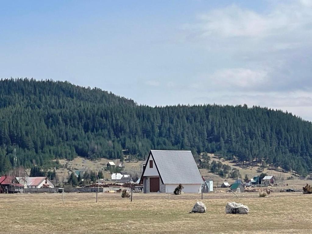 Žabljak Njegovuđa home - 4