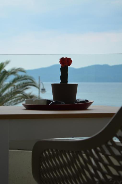 Oasi Luxury Apartments photo