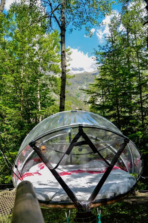 Nuit insolite bulle forêt glamping - 4