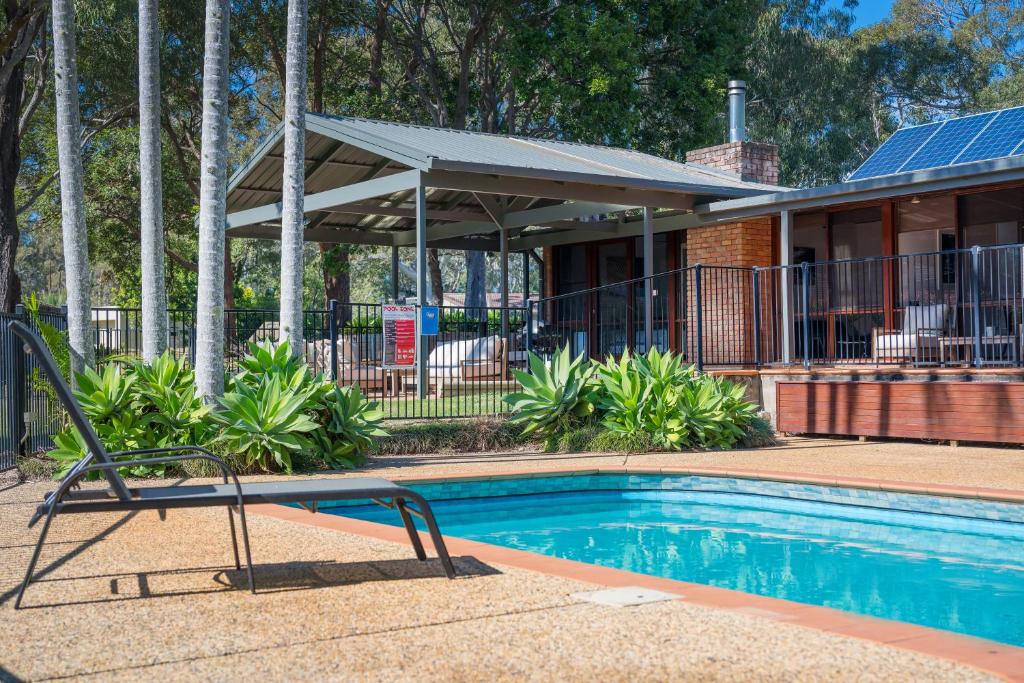Koalas at Links Lighthouse Beach, Port Macquarie
