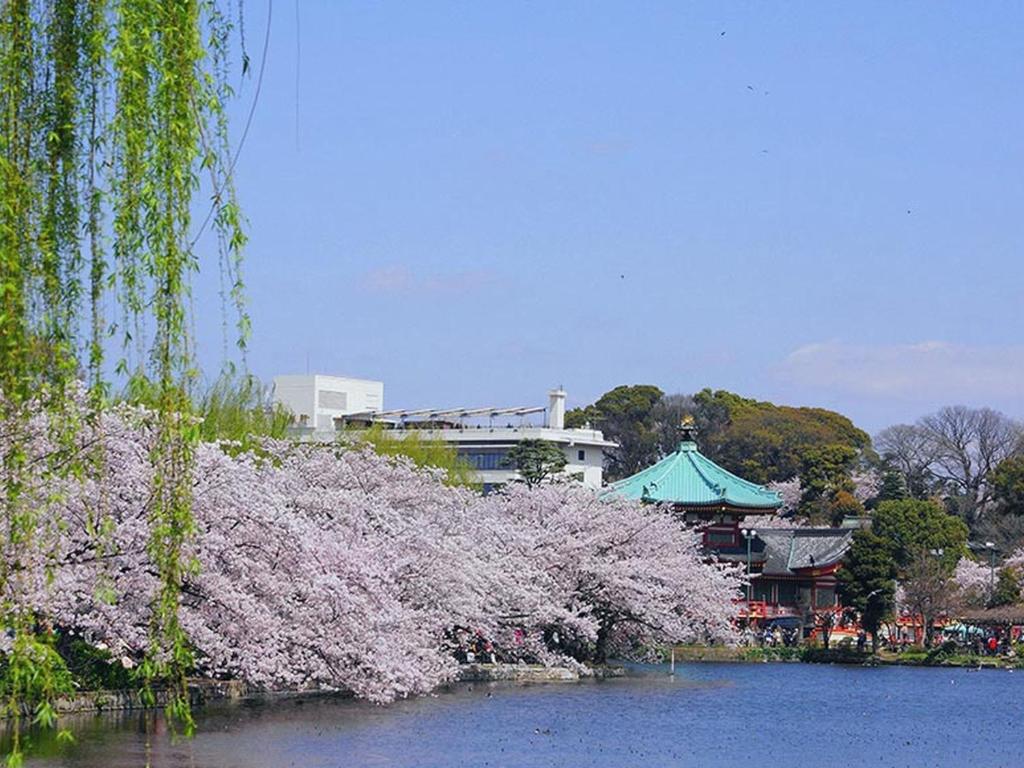 Nearby attraction