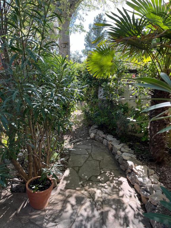 Maisonnette de charme dans domaine naturiste au pied du Mont Ventoux ! - 3