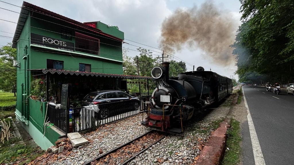 ROOTS by MOUNT OLIVE, Siliguri