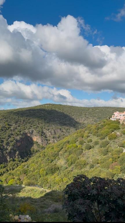 אירוח באכזיב, Ma'alot Taršicha