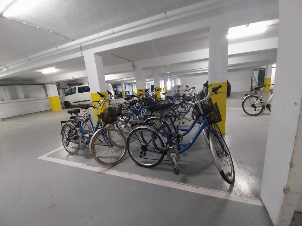 Sports and activities