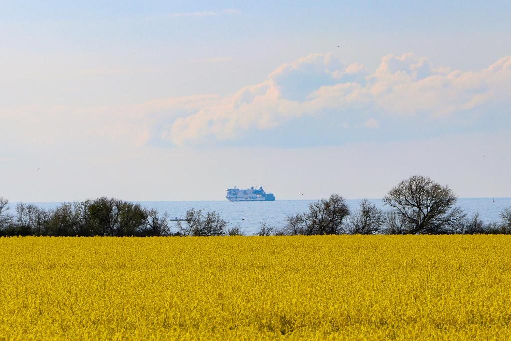 Arielle, Ostseebad Nienhagen
