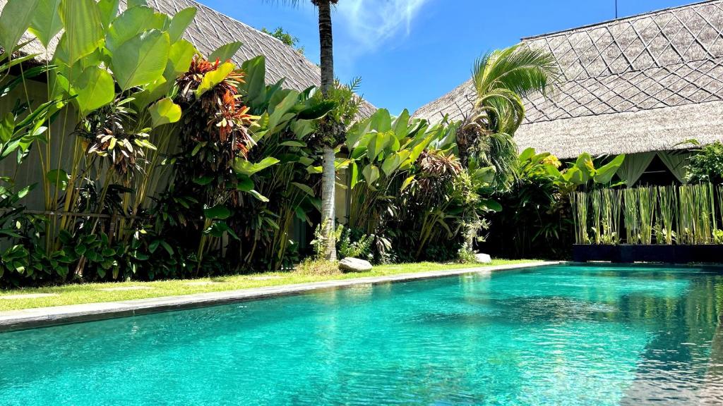 スイミングプール