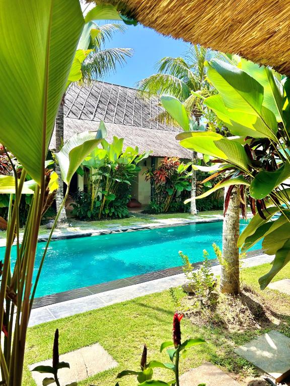 スイミングプール