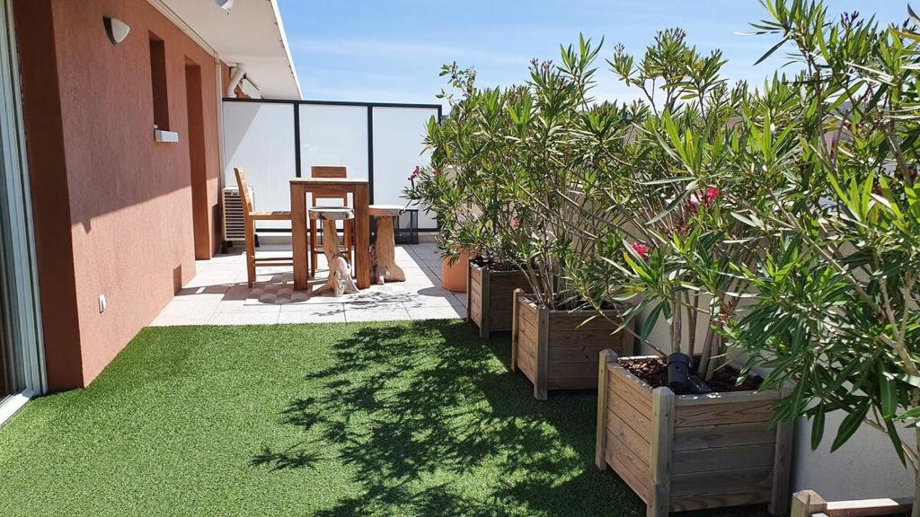 Rooftop du Lavandou - terrace and pool - 5