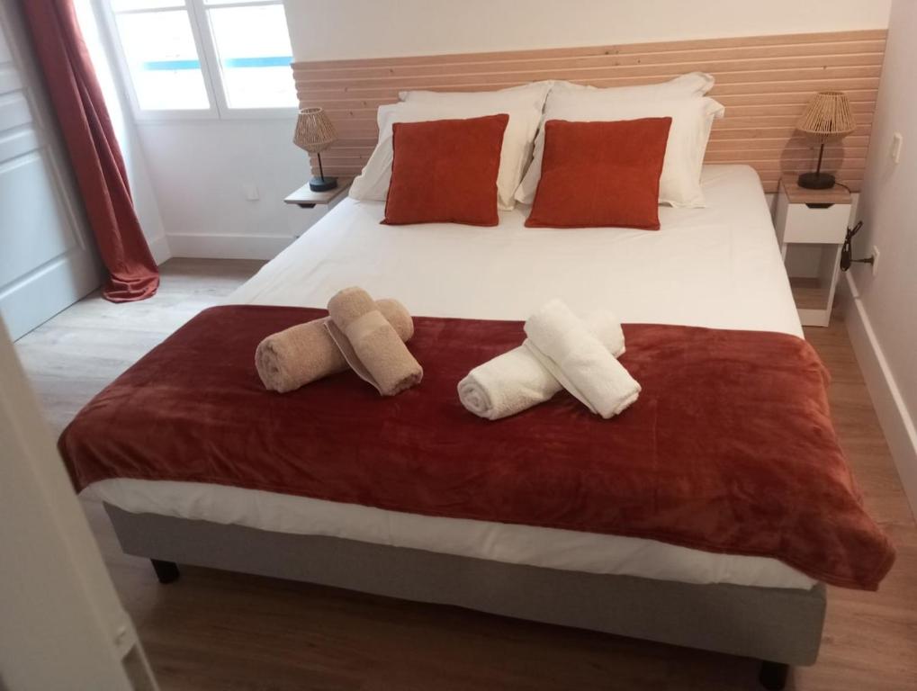 Renovated apartment, hyper center, private parking - 2