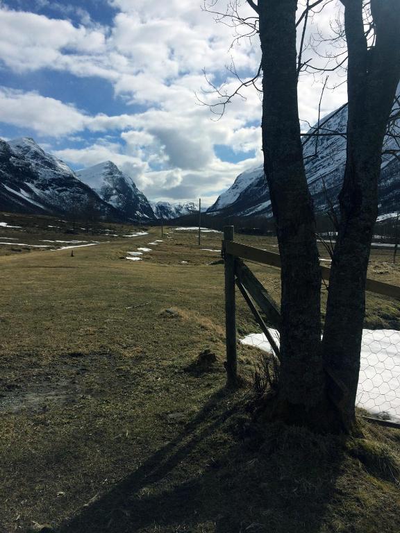 Surrounding environment