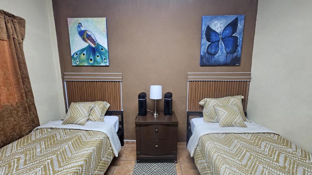 Xokolate House - La Casa Temporal del Nómada Digital, Santa Ana