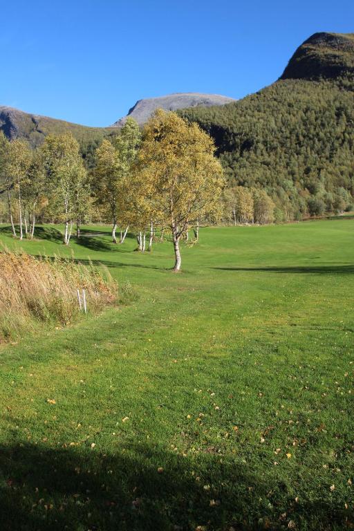 Surrounding environment