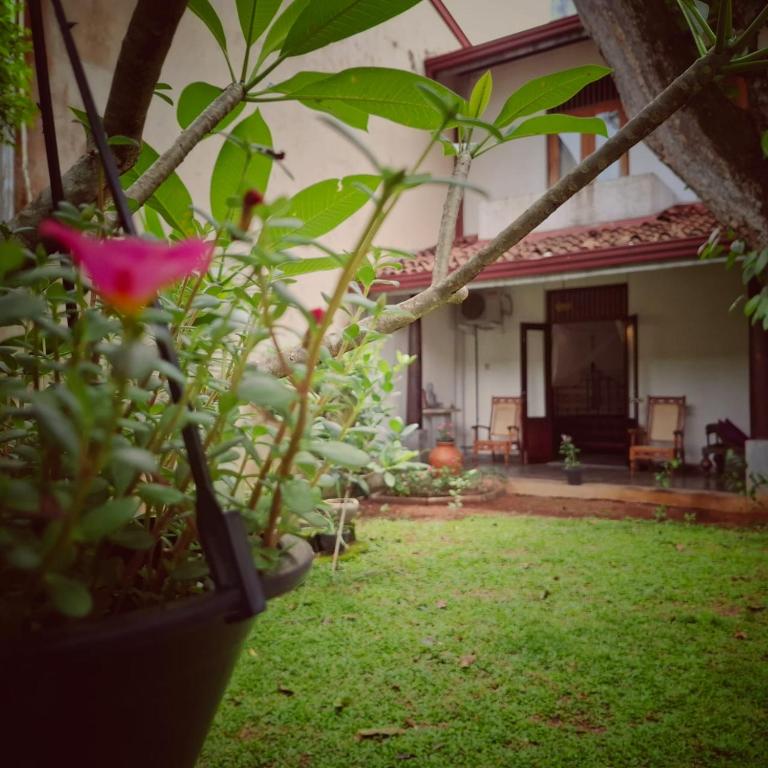 Room by the MANGO TREE, Nugegoda