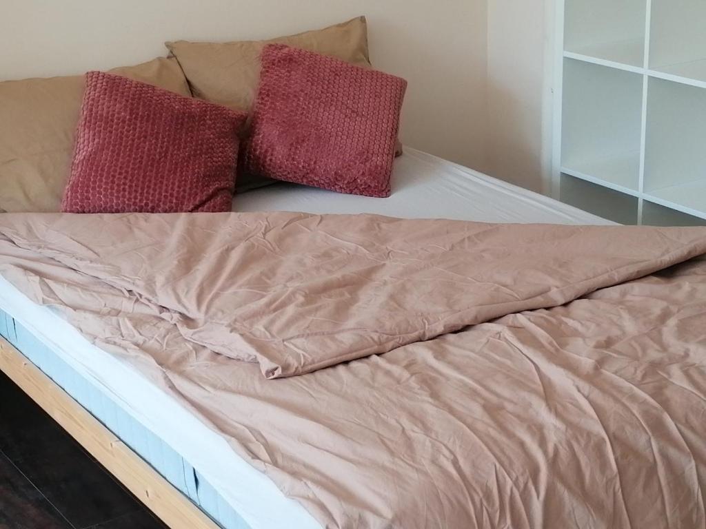 SwissResidente u parku, Kragujevac