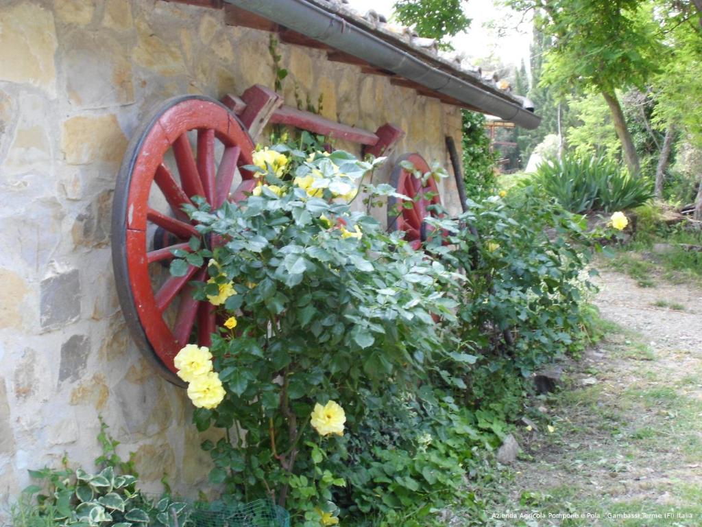 Agriturismo Pompone e Pola - 4