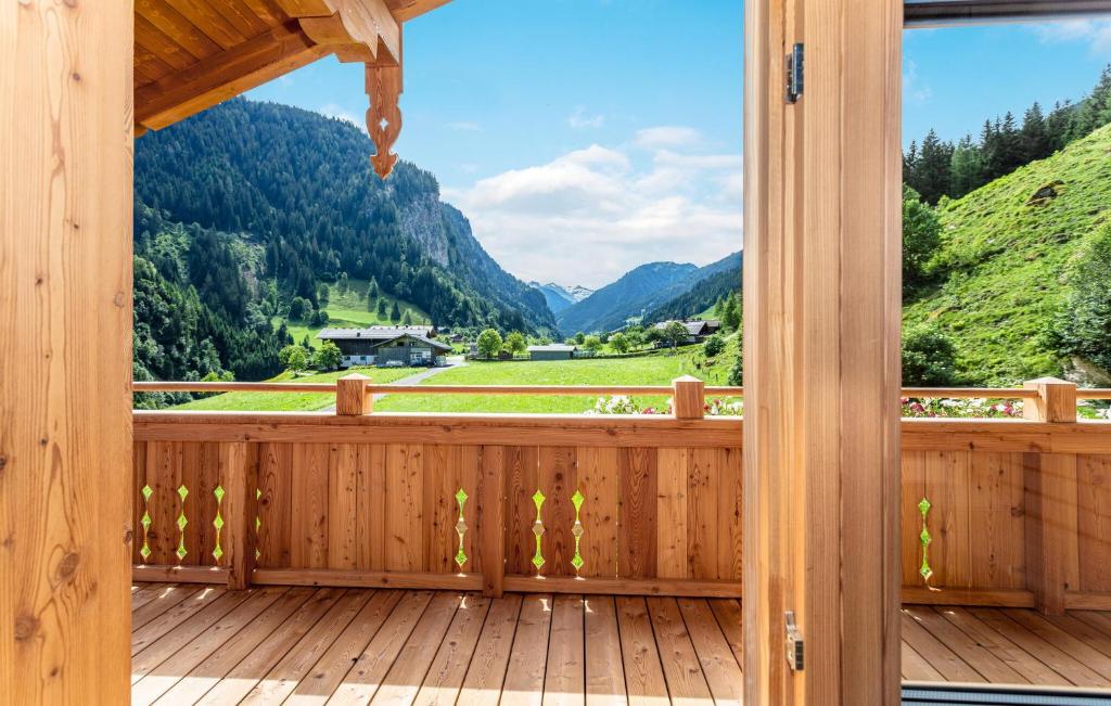 Ảnh 5