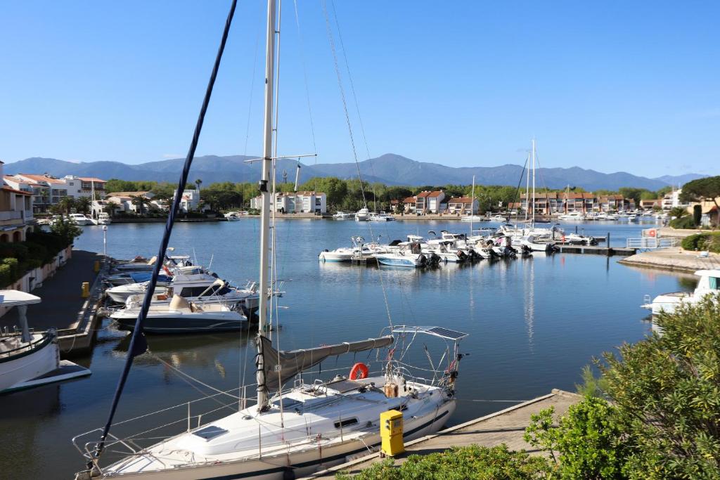 Spacieux Studio 3pers vue marina a St Cyprien - 2