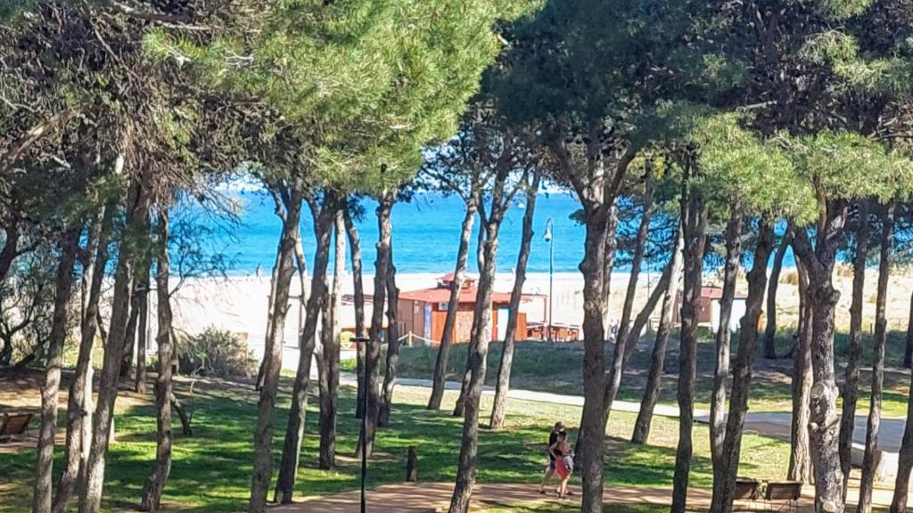 Primera Línea con Vistas al Mar y Piscina - 2