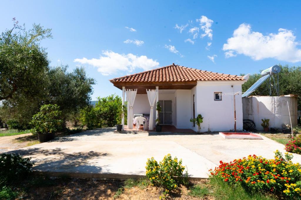 Nature of Karapata, Koroni