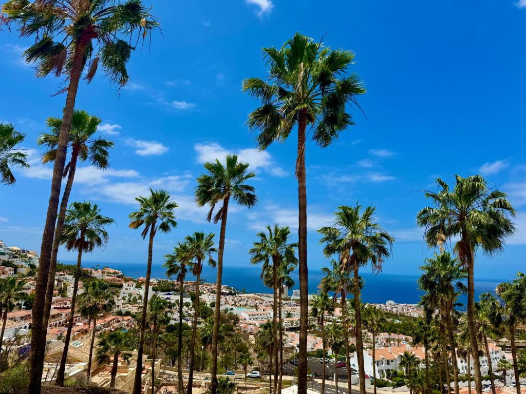 Panoramic Paradise Tenerife Ocean View & Comfort - 2