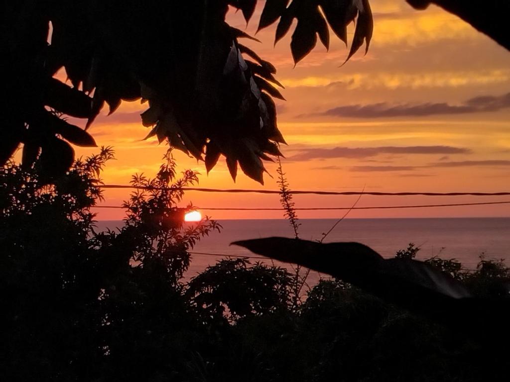 Tidododesiles, Bouillante