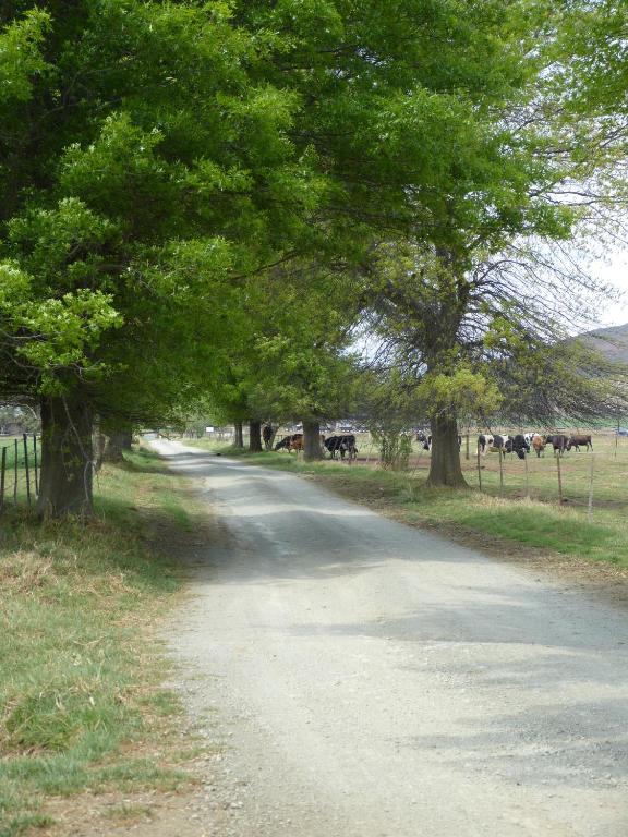 Surrounding environment