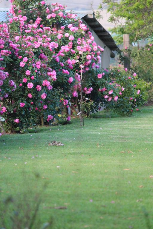 Surrounding environment