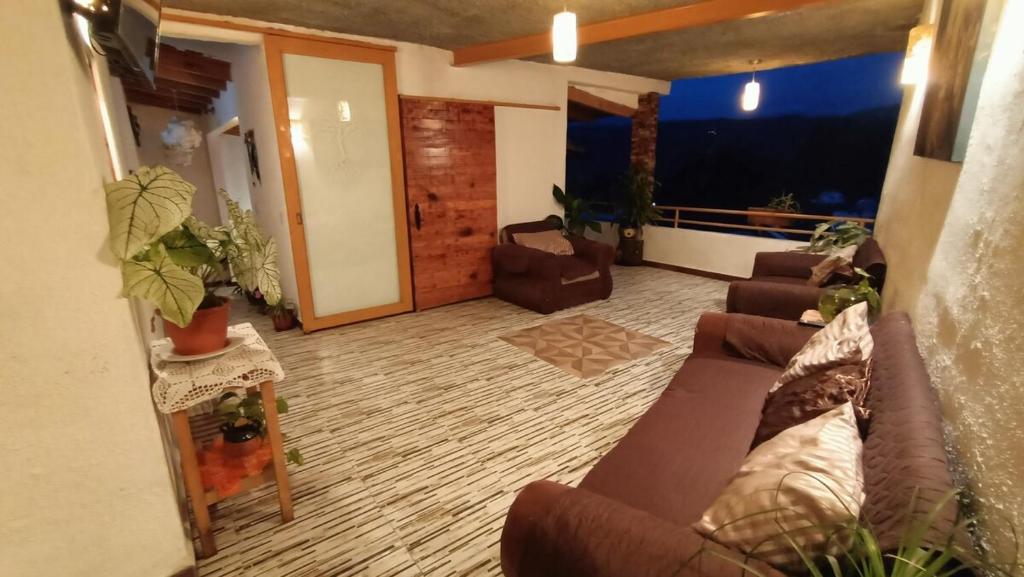 Casa yuyu - 3