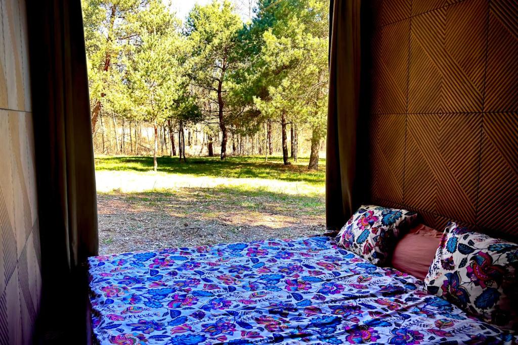 Leśny Raj - Samotnia, Kijanka