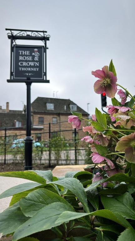 The Rose And Crown, Thorney