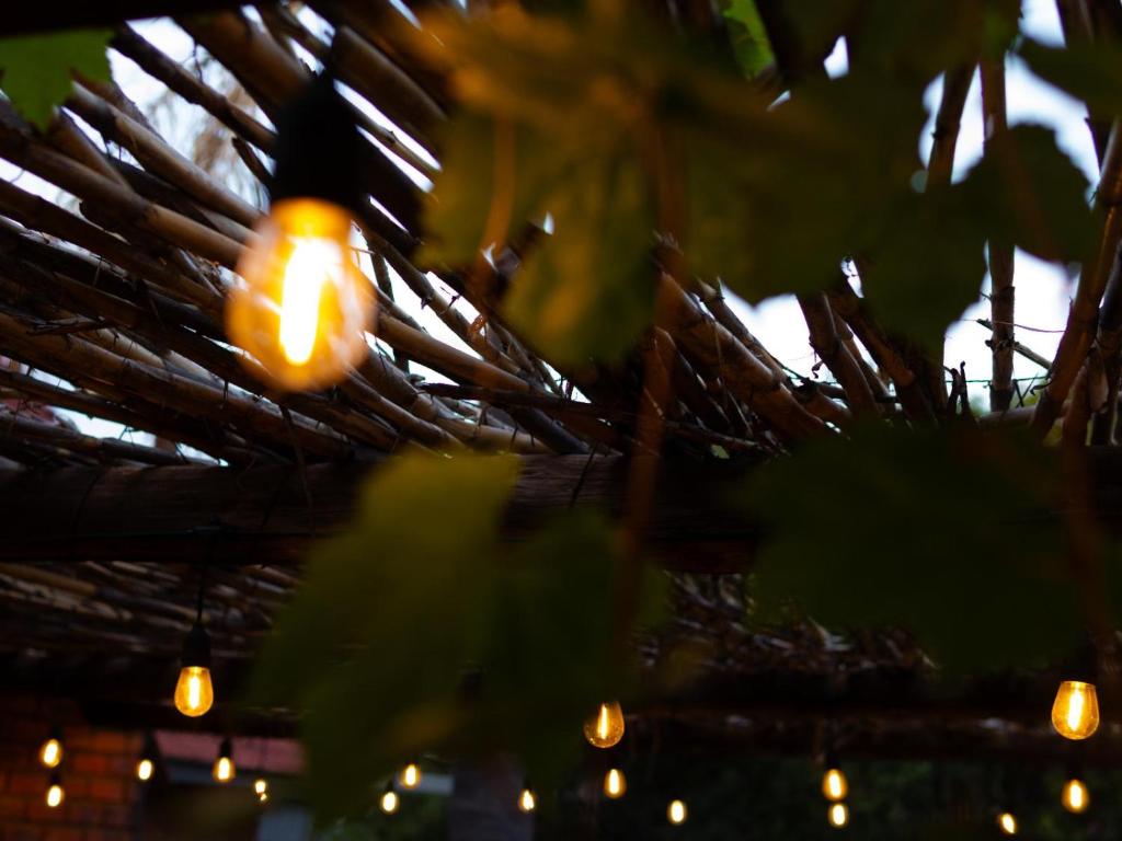 Nylstroom Guesthouse, Modimolle