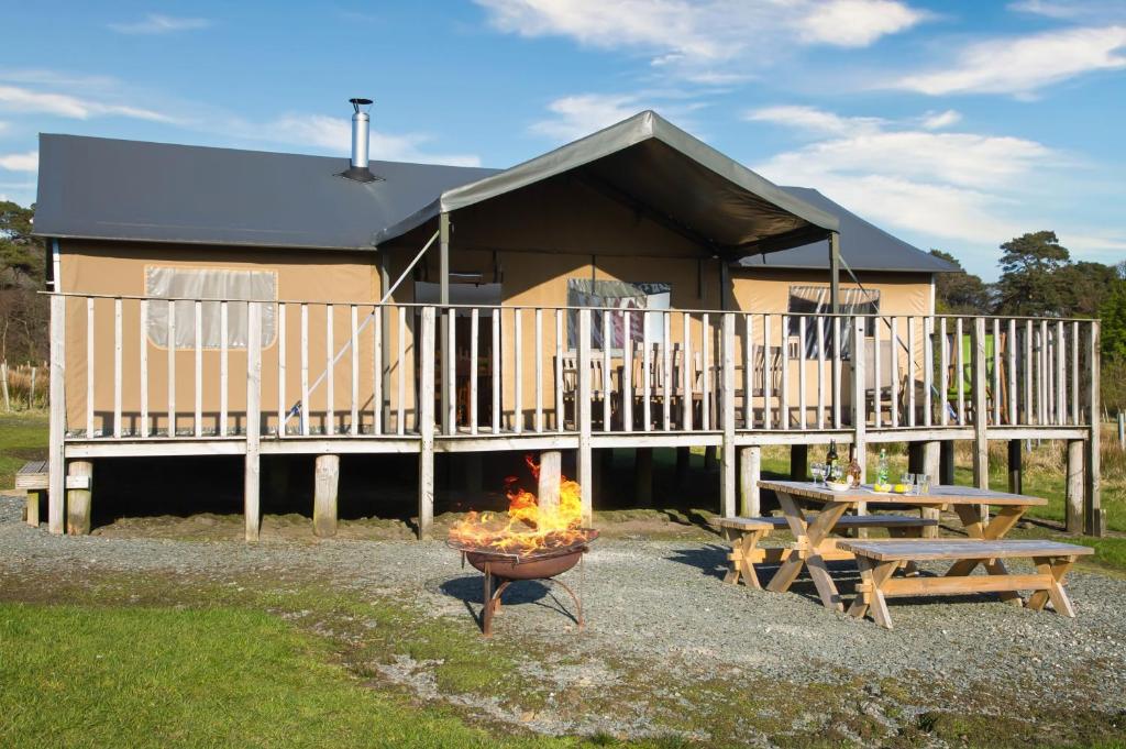 Redshank - Bleasdale, Chipping