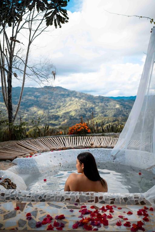 Private cabin with mountains view - 2