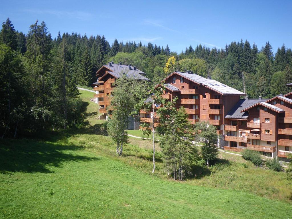 Morillon 1100, Morillon