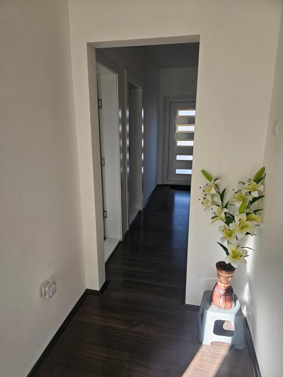 Ivys apartman, Ćuprija