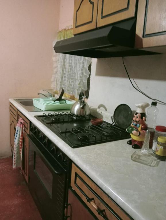 Comfortable stay south of CDMX - 2