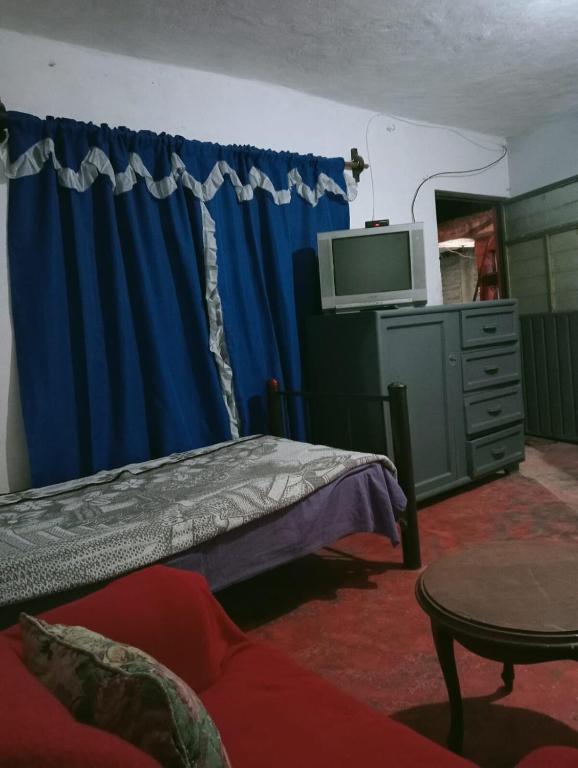 Comfortable stay south of CDMX - 3